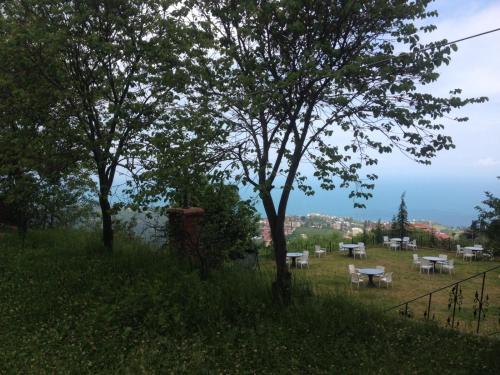 a field with tables and trees on a hill at Trabzon manzaralı havuzlu villa in Trabzon