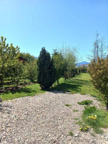 a gravel road in a garden with trees at Cabañas Chaya Mapu in Puerto Aisén