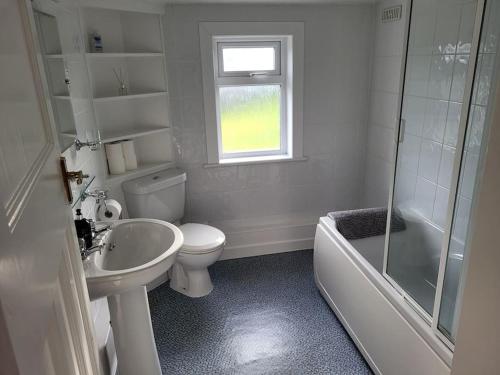 a bathroom with a toilet and a sink and a shower at Kirbister Mill Farm Cottage in Kirkwall