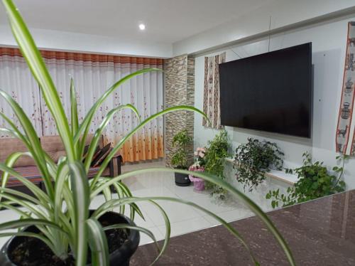 een woonkamer met planten en een flatscreen-tv bij Union Garden Apartments in Cuzco