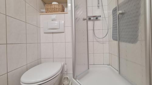 a small bathroom with a toilet and a shower at Ferienwohnung Maggie - Sankt Englmar in Sankt Englmar