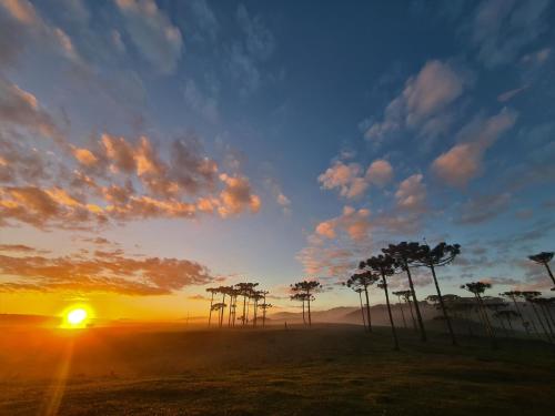 ein Sonnenuntergang mit einer Gruppe von Bäumen auf einem Feld in der Unterkunft Brumas Casa de Campo - Cambará do Sul in Cambará