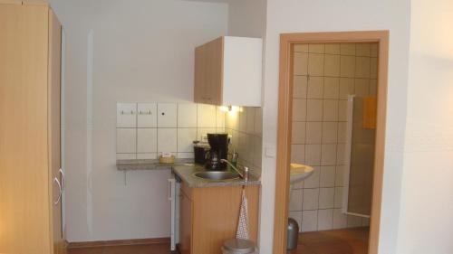 a small kitchen with a sink and a counter at Alttolkewitzer Ferien- & Privatzimmer Mrosk Dresden in Dresden
