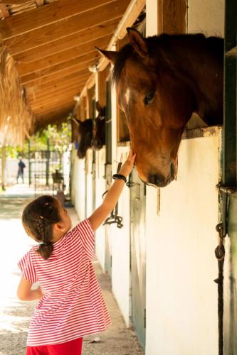 a little girl petting a horse in a barn at Hotel Casa Hemingway in Juan Dolio
