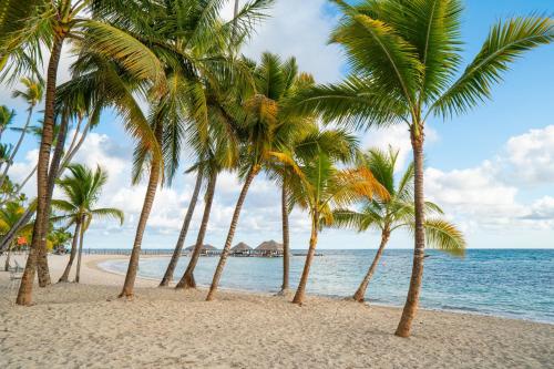 a group of palm trees on a beach at Hotel Casa Hemingway in Juan Dolio
