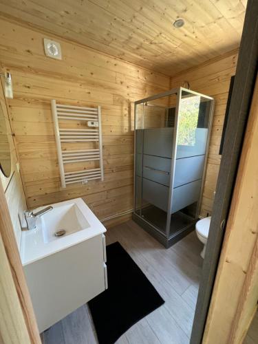 une salle de bain avec un lavabo, une douche et des toilettes dans l'établissement Chalet 1 contemporain dans son écrin de verdure, à Montauban