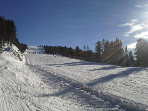 a snow covered ski slope with trees on the side at Gasthof Trattner Pension Waldhof in Sankt Peter am Kammersberg