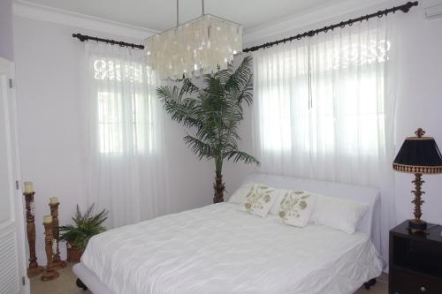 Un dormitorio con una cama blanca con cortinas blancas y una palmera en The Victorian Luxury Condo O-1, en Cabarete