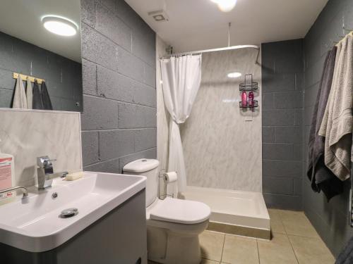 a bathroom with a sink and a toilet and a shower at The Pod at Bank House Farm in Stafford