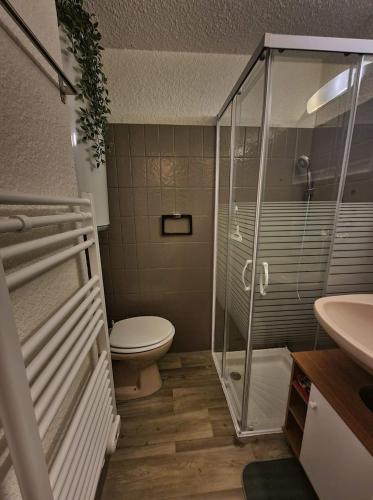 une salle de bain avec toilettes et douche en verre dans l'établissement Chez Gaspard le montagnard, à Les Deux Alpes