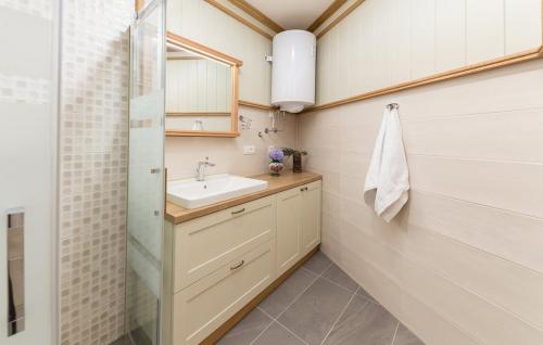 a bathroom with a sink and a shower at Apartma Rozika in Ptuj