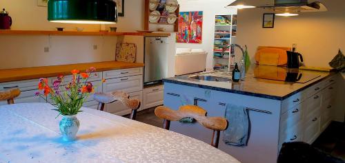 Dapur atau dapur kecil di Farmors Hus