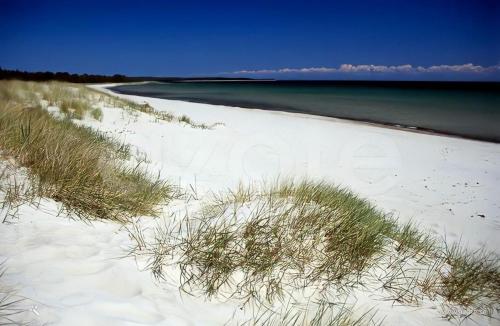 a sandy beach with grass on it and the ocean at Brygghuset, Solviken in Rockneby