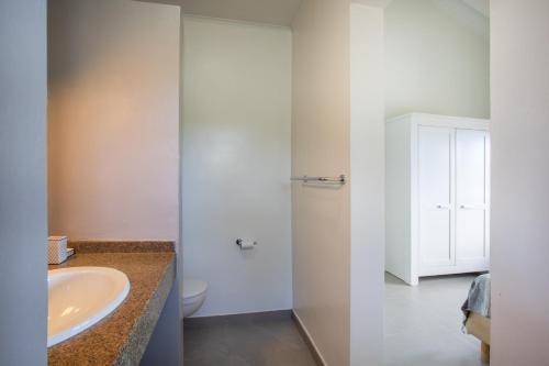 a bathroom with a sink and a toilet at Villa Caribbean Passion in Willibrordus