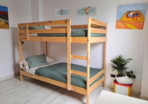 Ce lit superposé en bois se trouve dans un dortoir doté d'une plante. dans l'établissement La Casa de Koko, à Las Palmas de Gran Canaria