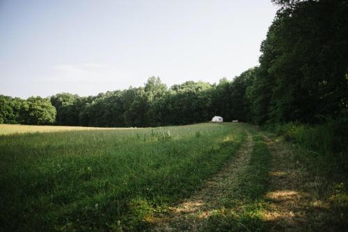Tentrr - Camp Coal Tree – Photos 3