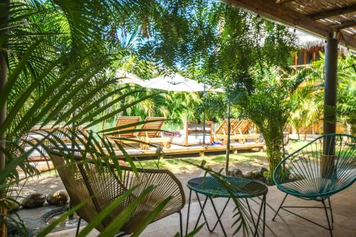 Сад в Hotel Gallo de Mar