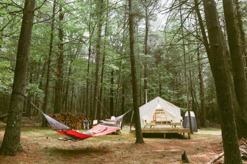 Tentrr - Highwoods – Photos 4