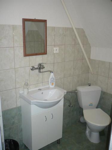a bathroom with a sink and a toilet at Pension Rybářská Bašta in Rožmberk nad Vltavou