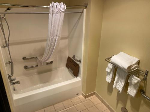 a bathroom with a shower and a tub and a sink at FairBridge Inn & Suites Glendive in Glendive