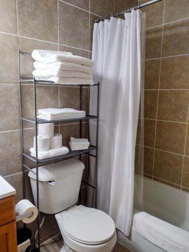 a bathroom with a toilet and a shower with a shower curtain at North Coast Place in Marquette