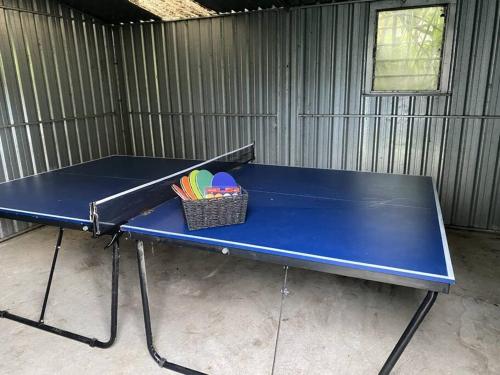 a blue ping pong table with a basket of balls at Yarra House - Comfortable 3 bedroom home close to everything! in Healesville