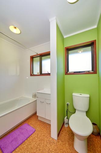 a bathroom with a white toilet and a green wall at Luigi's apartment in Rotorua