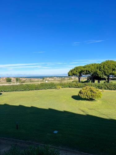 un grand champ vert avec des arbres en arrière-plan dans l'établissement Le Studio de la Lagune studio cabine proche de la plage, au Grau-du-Roi