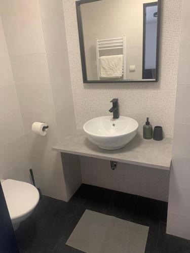 Koupelna v ubytování Apartmány ČERNÝ KOHOUT