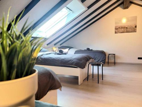 una camera con due letti e una pianta in vaso di Cozy & Modern 4 Room Flat near Hanau a Gedern