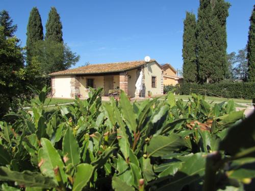 a house in the middle of a field of plants at Agriturismo Pretenzano in Volterra