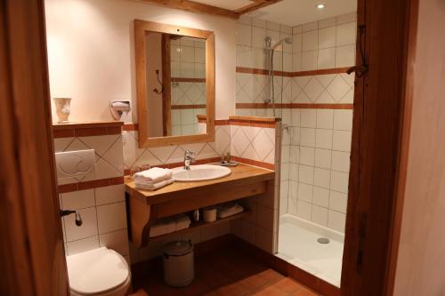 La salle de bains est pourvue d'un lavabo, de toilettes et d'une douche. dans l'établissement Auberge du Moulin de Léré Restaurant 1étoile, à Vailly
