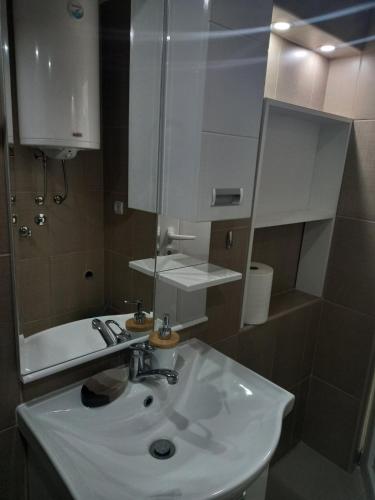 a bathroom with a white sink and a mirror at Kuća za odmor CAR - Tekija in Tekija