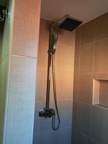 a shower with a shower head in a bathroom at Kuća za odmor CAR - Tekija in Tekija