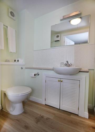 a bathroom with a sink and a toilet and a mirror at Hillhead Farm Lets in Stirling