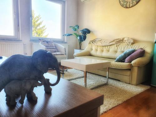Relax zone – Photos 5