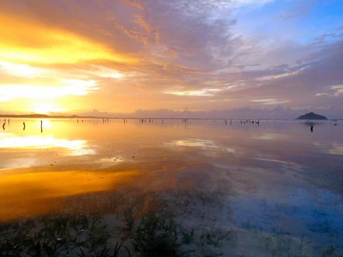 a sunset on the beach with a reflection in the water at Loedi Bungalows Rote in Nembrala