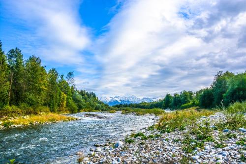 a river with trees and mountains in the background at Hotel Burkaty in Białka Tatrzanska