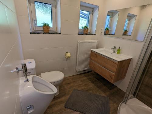 łazienka z toaletą i umywalką w obiekcie Haus Biechl mit Blick auf die Burg Hohenwerfen w mieście Pfarrwerfen