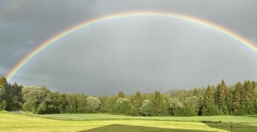 a rainbow in the sky over a green field at Fjellstad Gård - 2 minutes from E6 and 5 minutes drive from Steinkjer city in Steinkjer