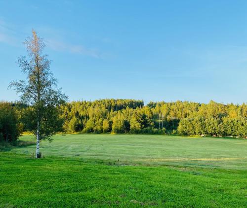 a tree in the middle of a green field at Fjellstad Gård - 2 minutes from E6 and 5 minutes drive from Steinkjer city in Steinkjer