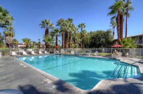 a swimming pool with chairs and palm trees at Motel 6-Palm Springs, CA - East - Palm Canyon in Palm Springs