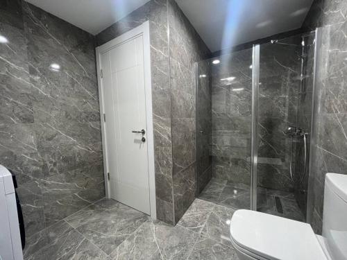 La salle de bains est pourvue d'une douche, d'un lavabo et de toilettes. dans l'établissement Luxury Apartment, à Istanbul