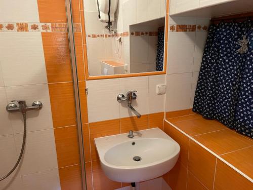 een badkamer met een wastafel en een douche bij Horská chalupa Pluskovjanka in Velké Karlovice