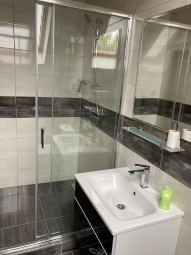 a bathroom with a sink and a glass shower at Dvojlôžková izba s vlastnou kúpelňou in Vranov nad Topľou