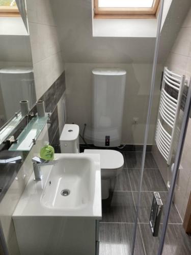 uma casa de banho com um lavatório branco e um WC. em Dvojlôžková izba s vlastnou kúpelňou em Vranov nad Topľou