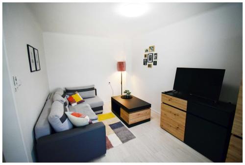 ein Wohnzimmer mit einem Sofa und einem Flachbild-TV in der Unterkunft Color24 Centrum Nisko in Nisko
