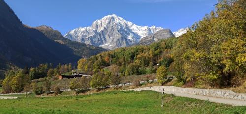 a mountain range with a train in a field at Hotel Alpechiara in Pré-Saint-Didier