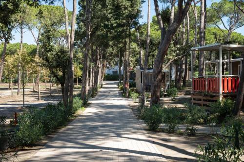 un chemin à travers les arbres dans un parc dans l'établissement Camping Il Capannino Glamping Village, à Marina di Bibbona