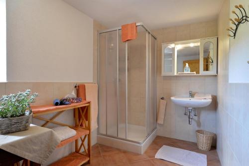 a bathroom with a shower and a sink at Selbstversorgerhütte Plafing in Ebbs